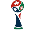 2026·美加墨世界杯